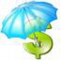 Travel Insurance