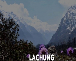 Darjeeling